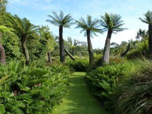 logan-botanic-garden PALMS