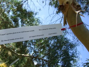 Poet Tree COLIN W 7 Aug 005