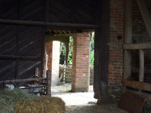 Acton S early morning 029