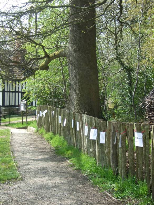 The Poetry Fence sunshine