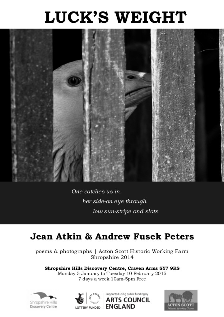 Luck's Weight poster final