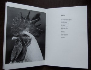 Luck's Weight pamphlet Plantain page