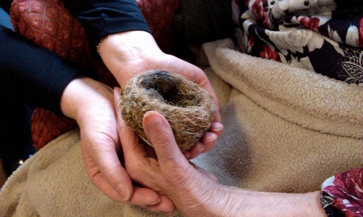 Lillian & nest Charles Court March2015 JA