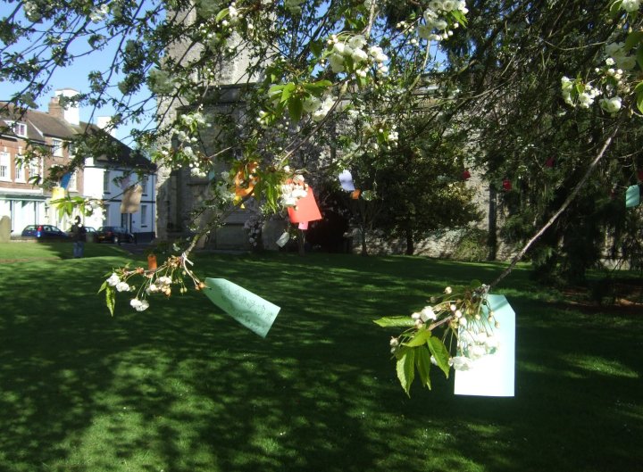 WPF 2015 Cherry Poet Tree