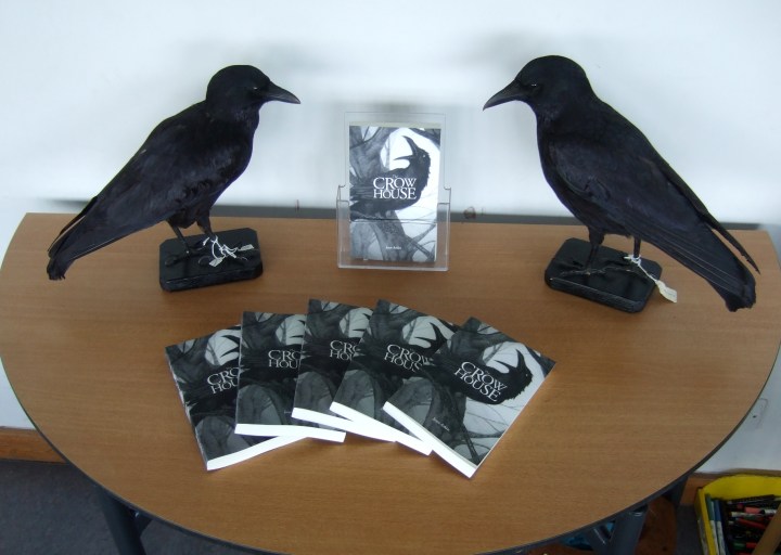 Crow House Ludlow Library + crows mr
