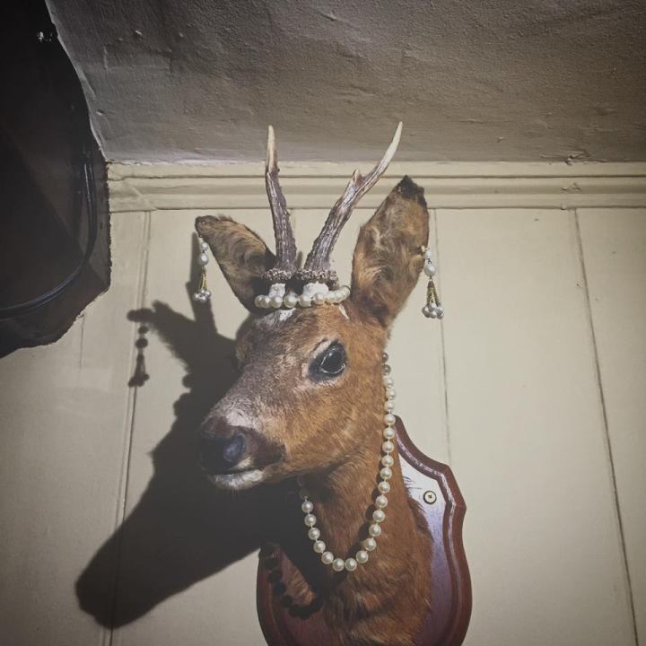 deer in pearls