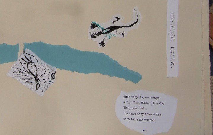 Book Carding Mill 5 CROP