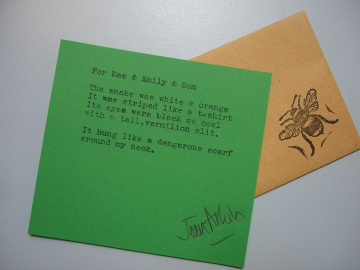 Helena Lane Poet at Work (12) Snake