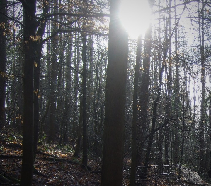 rh-trip-16feb17-10-crop