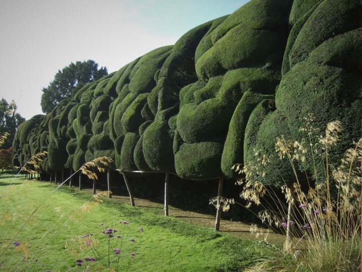 ToTH Bosbury Sch_Sept2018 (1)